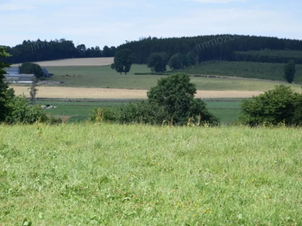 Al Hesse Chemin de Sterpigny à Bovigny, 6673 Gouvy - 257936 | Immozoeken