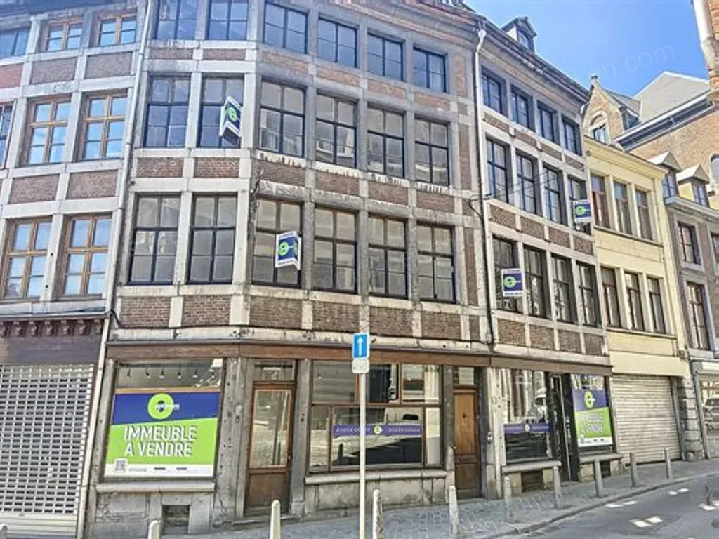 Rue du Palais 1-3, 4000 Liège - 257668 | Immozoeken