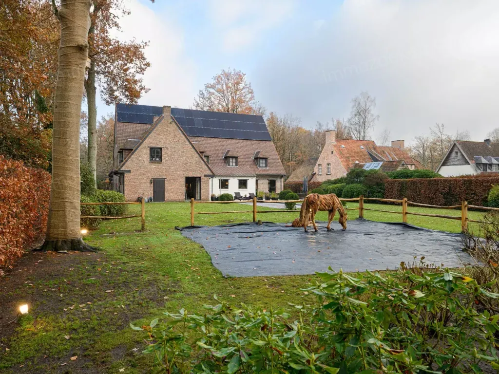 Blijde Inkomst 16, 2970 Schilde - 344836 | Immozoeken